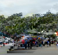 Lardner Park Market - Accommodation Main Beach
