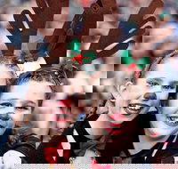 Mount Druitt Christmas Light Up Concert - Accommodation Main Beach