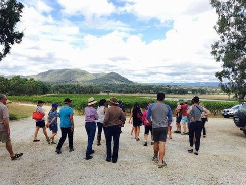 Mudgee Farm Walks - Accommodation Main Beach 1