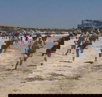 Perlubie Beach Sports Day - Accommodation Main Beach