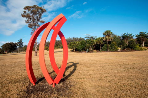 Sculpture For Clyde - Accommodation Main Beach 0
