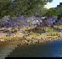 Shoalhaven River Festival - Accommodation Main Beach