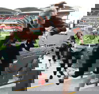 Stadium Stomp Adelaide Oval - Postponed - Accommodation Main Beach