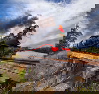 The Bellarine Railway Santa Train Specials - Accommodation Main Beach