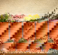 Tumbarumba Spring Flower Festival - Accommodation Main Beach