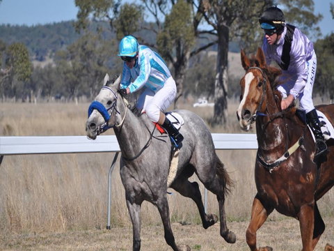 Wean Picnic Races - Accommodation Main Beach 0