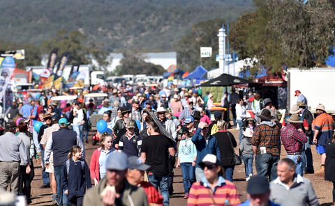 AgQuip - Accommodation Main Beach 0