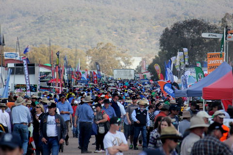 AgQuip - Accommodation Main Beach 1