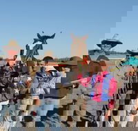 Annual Prairie Races - Accommodation Main Beach