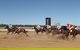 Annual Prairie Races - thumb 1