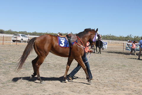 Annual Prairie Races - Accommodation Main Beach 2
