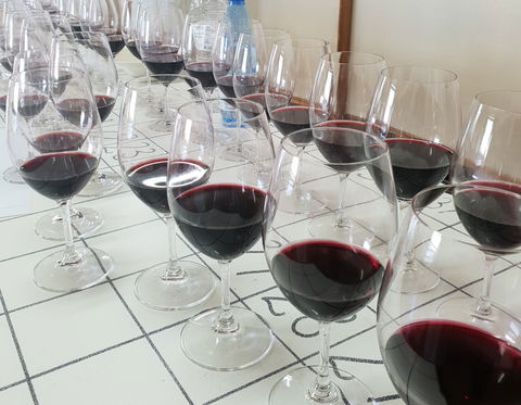 Australian Cool Climate Wine Show - Accommodation Main Beach 1