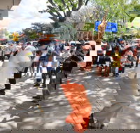 Australian National Busking Championships - Accommodation Main Beach