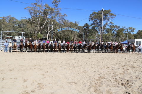 Australian Campdraft Association National Finals Campdraft 2021 - Accommodation Main Beach 0