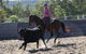 Australian Campdraft Association National Finals Campdraft 2021 - thumb 1