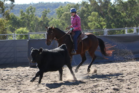 Australian Campdraft Association National Finals Campdraft 2021 - Accommodation Main Beach 1
