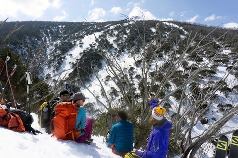 Avalanche Training Australia - Accommodation Main Beach 7