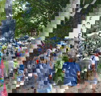 Bellingen Community Markets - Accommodation Main Beach