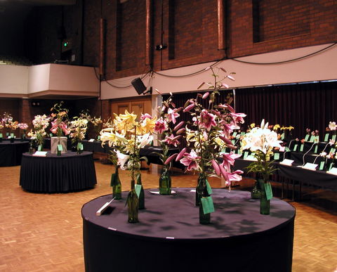 Burnie Lilium Show - Accommodation Main Beach 0
