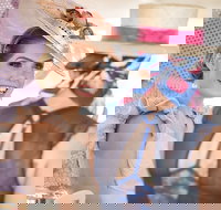 Cairns Amateurs - Accommodation Main Beach