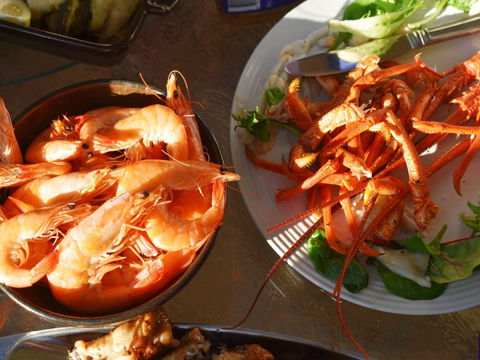 Cape Jaffa Food And Wine Festival - Accommodation Main Beach 0