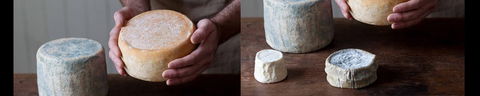 Cheese Making Basics Class - Accommodation Main Beach 0