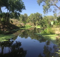 Conservation Volunteers Australia Townsville - Creekwatch - Accommodation Main Beach