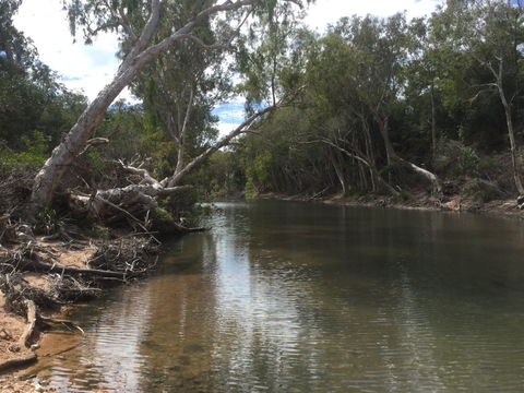 Conservation Volunteers Australia Townsville - Creekwatch - Accommodation Main Beach 2