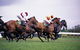 Cootamundra Cup - thumb 1