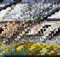 Daffodils at Rydal - Accommodation Main Beach