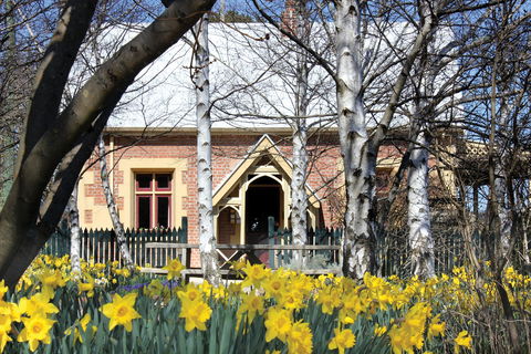 Daffodils At Rydal - Accommodation Main Beach 0