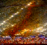 Festivale - Accommodation Main Beach