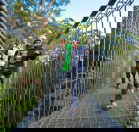 Get Back to Nature these July School Holidays - Accommodation Main Beach