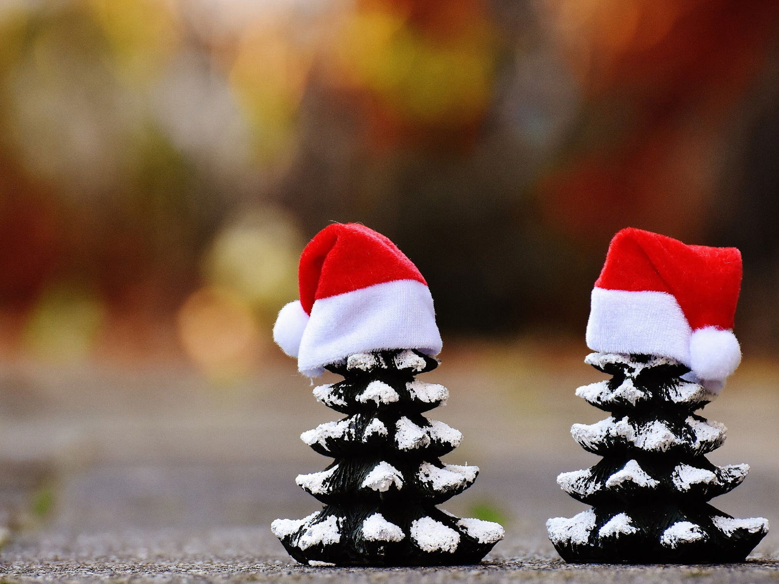 Glenmore Park NSW Accommodation Main Beach