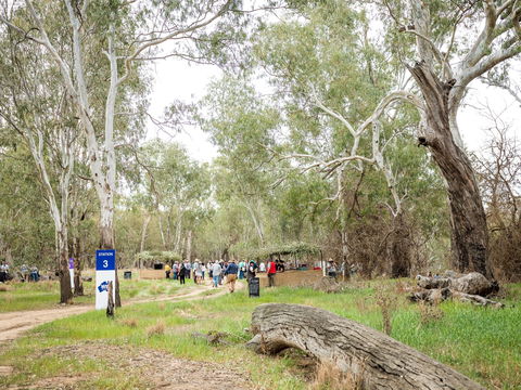 Grazing Down The Lachlan - Accommodation Main Beach 2