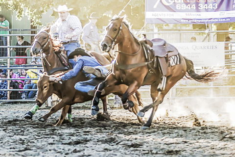 Gundagai Rodeo - Accommodation Main Beach 0