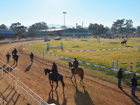 Gunnedah Showjumping Festival - Accommodation Main Beach 2