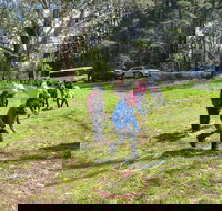 July 2020 Holidays- Forest Adventures Treasure Hunt - Accommodation Main Beach