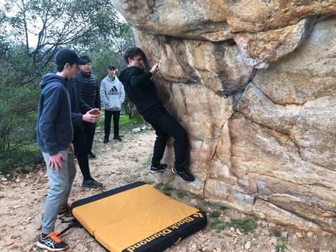 July 2020 Holidays- Forest Adventures Treasure Hunt - Accommodation Main Beach 1