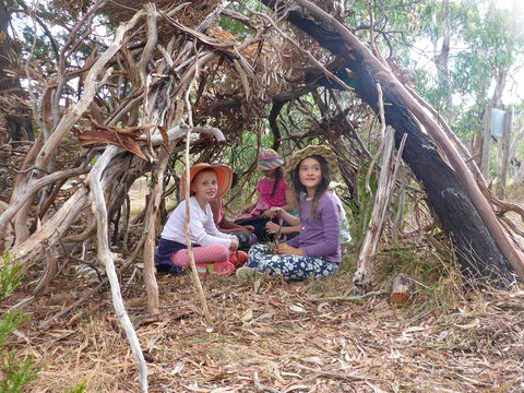 July 2020 Holidays- Forest Adventures Treasure Hunt - Accommodation Main Beach 2
