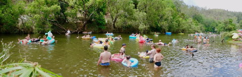 Jungle Love Festival - Accommodation Main Beach 1