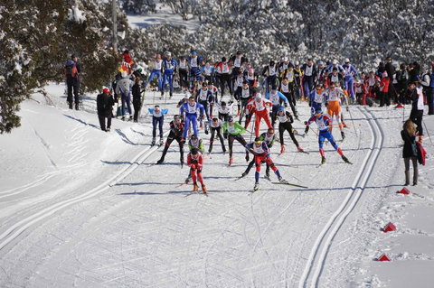 Kangaroo Hoppet - Accommodation Main Beach 1