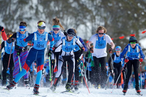 Kangaroo Hoppet - Accommodation Main Beach 2