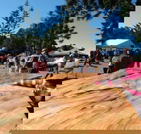Maleny Wood Expo From Seed to Fine Furniture - Accommodation Main Beach