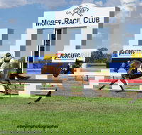 Moree Race Club TAB Race Day - Accommodation Main Beach