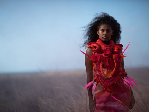 Piinpi: Contemporary Indigenous Fashion - Accommodation Main Beach 0
