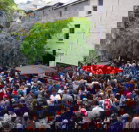 Rektango - Accommodation Main Beach