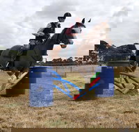 Rouse Roundup - Accommodation Main Beach