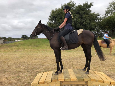Rouse Roundup - Accommodation Main Beach 1