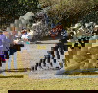 Sculpture for Clyde - Outdoor Exhibition - Accommodation Main Beach